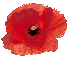 poppy-anzac.gif