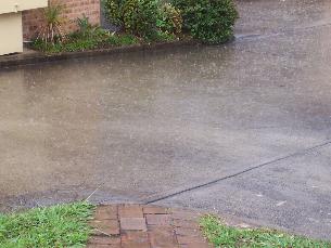 rainydriveway.jpg